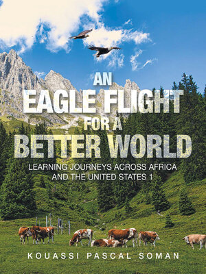cover image of An Eagle Flight for a Better World